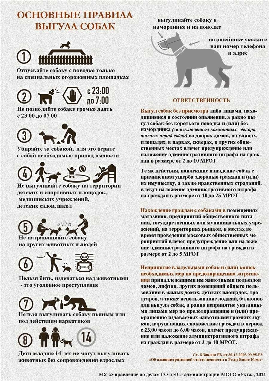Закон о собаках новые правила содержания и ответственности